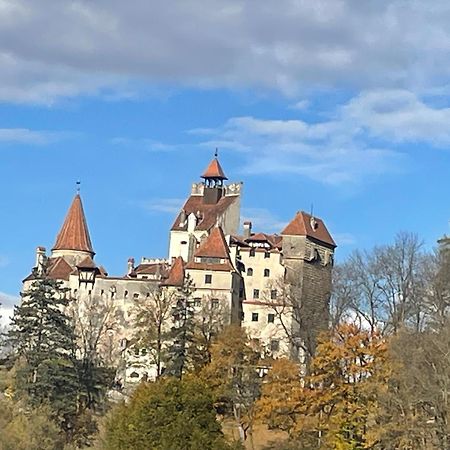 Casa Dudu Villa Моечу де Жос Екстериор снимка