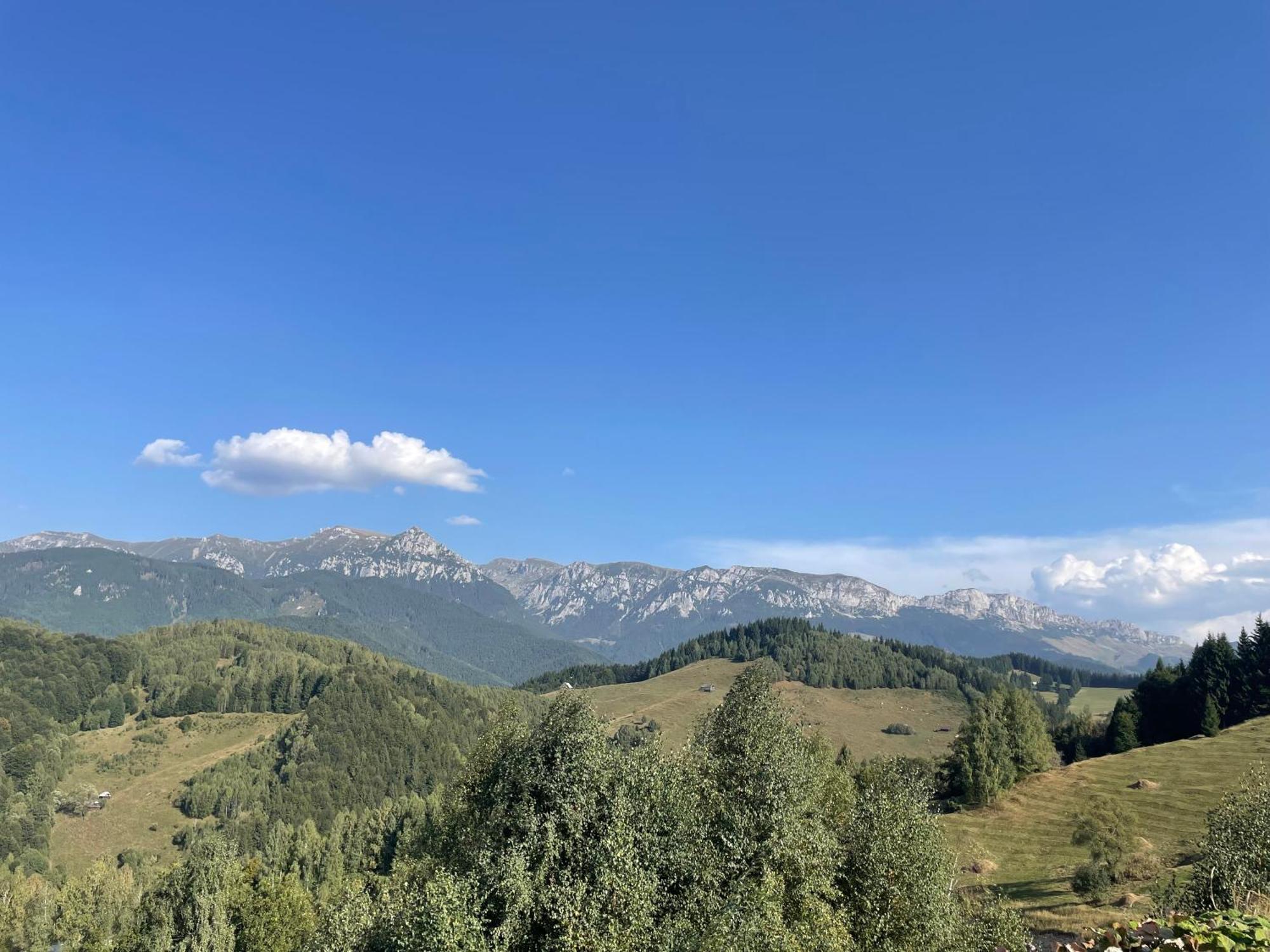 Casa Dudu Villa Моечу де Жос Екстериор снимка